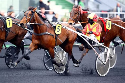 video dernier quinte|Equidia